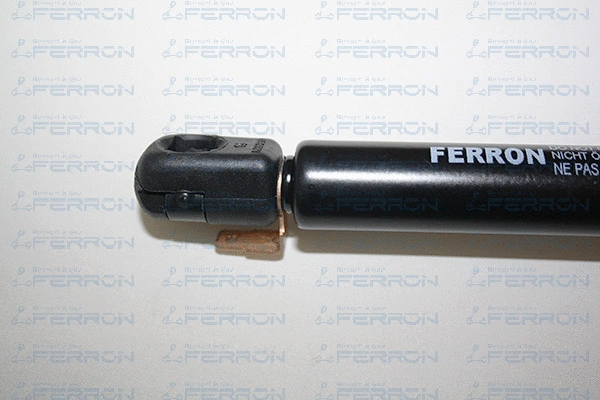 Gas Spring, boot/cargo area