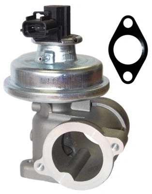 EGR Valve (TOP11450003)