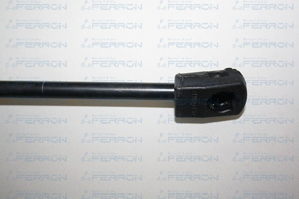 Gas Spring, boot/cargo area