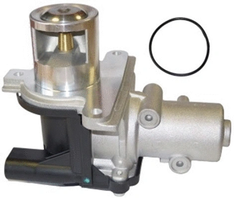 EGR Valve (TOP11450004)
