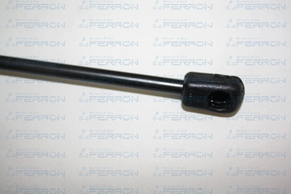 Gas Spring, boot/cargo area