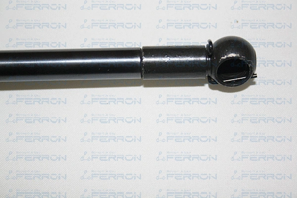 Gas Spring, boot/cargo area
