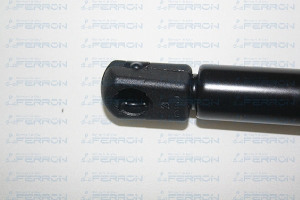 Gas Spring, boot/cargo area