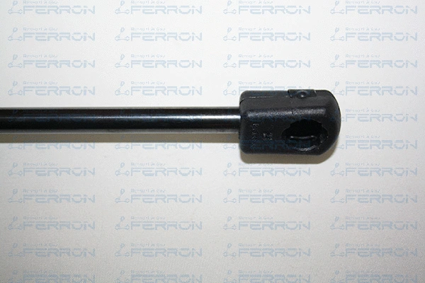 Gas Spring, boot/cargo area (95)