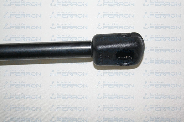 Gas Spring, boot/cargo area