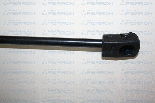 Gas Spring, bonnet