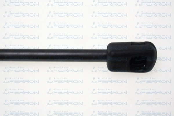 Gas Spring, boot/cargo area