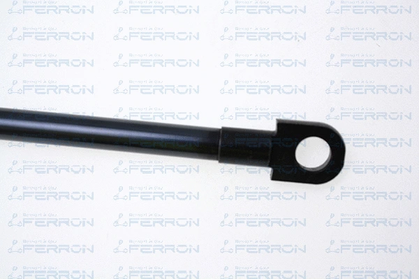 Gas Spring, boot/cargo area