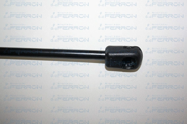 Gas Spring, boot/cargo area