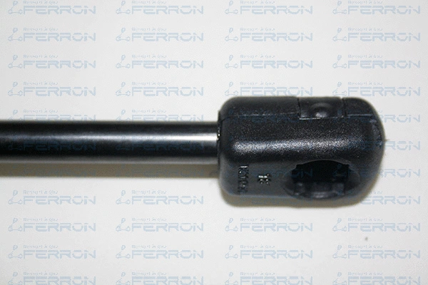 Gas Spring, boot/cargo area