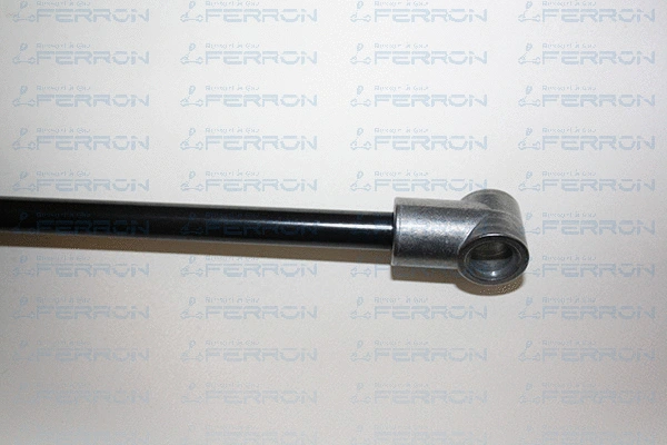 Gas Spring, boot/cargo area