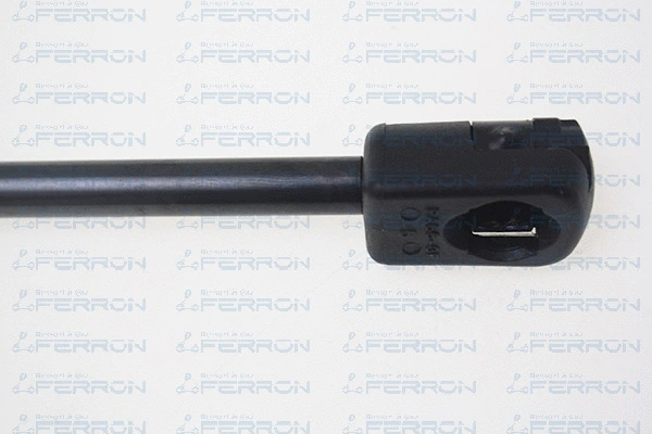 Gas Spring, boot/cargo area