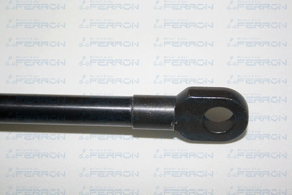 Gas Spring, bonnet