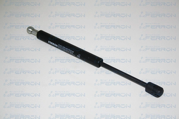 Gas Spring, boot/cargo area (113)
