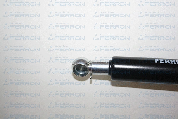 Gas Spring, boot/cargo area