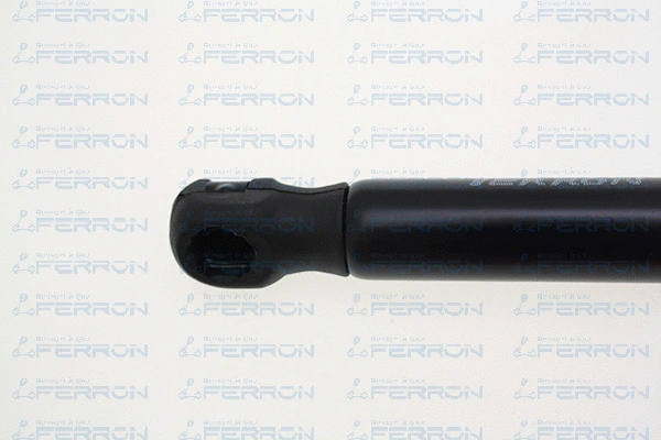 Gas Spring, bonnet