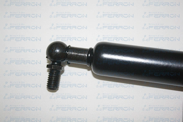 Gas Spring, boot/cargo area