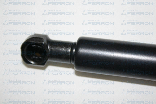 Gas Spring, boot/cargo area