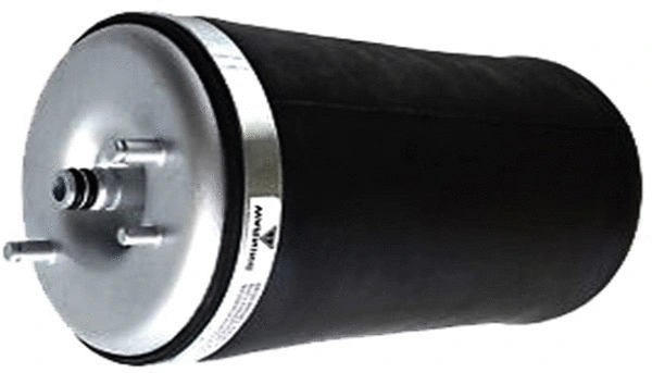 Air Spring, suspension (TOP35340011)