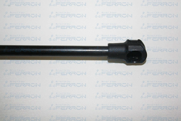 Gas Spring, boot/cargo area