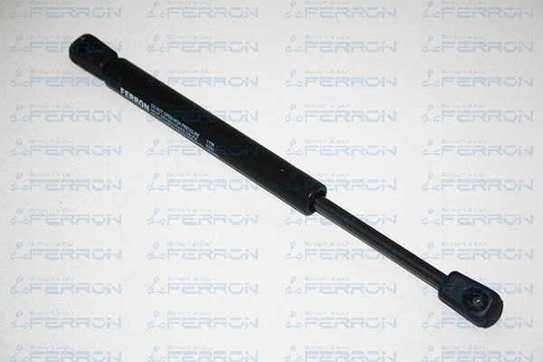 Gas Spring, boot/cargo area (1106)