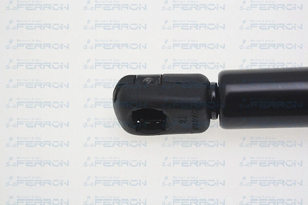 Gas Spring, boot/cargo area