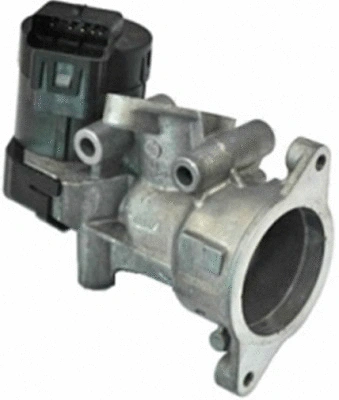 EGR Valve (TOP11450021)