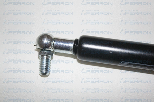 Gas Spring, boot/cargo area