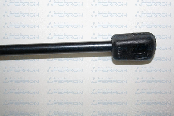 Gas Spring, boot/cargo area