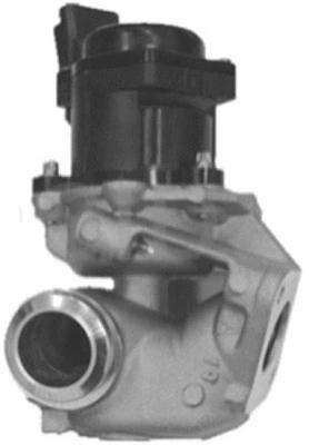 EGR Valve (TOP11450019)