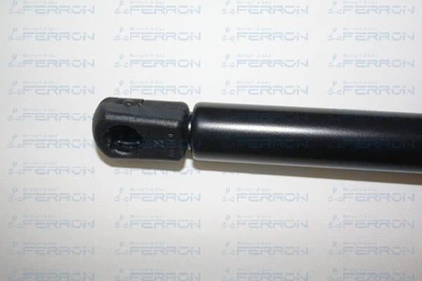 Gas Spring, boot/cargo area
