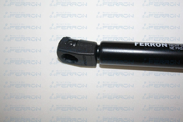 Gas Spring, bonnet