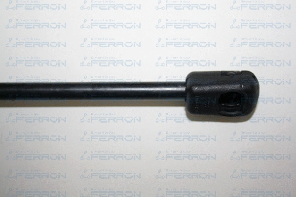 Gas Spring, boot/cargo area