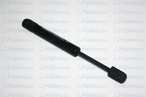 Gas Spring, bonnet (117)