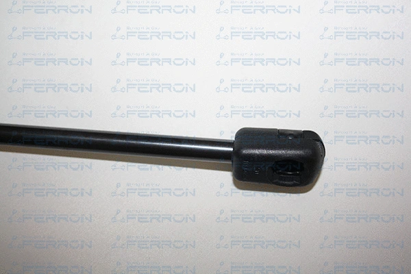Gas Spring, boot/cargo area