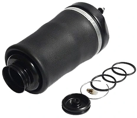 Air Spring, suspension (TOP35340005)