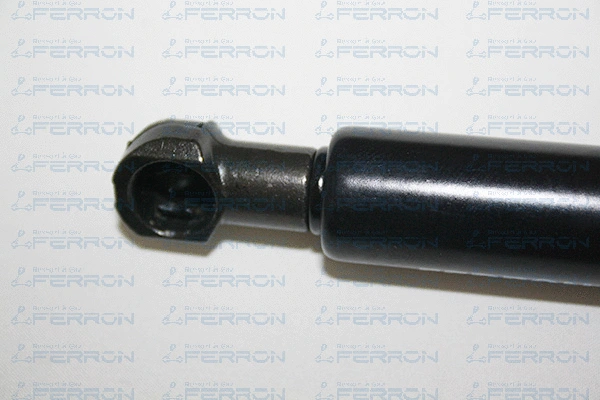 Gas Spring, boot/cargo area