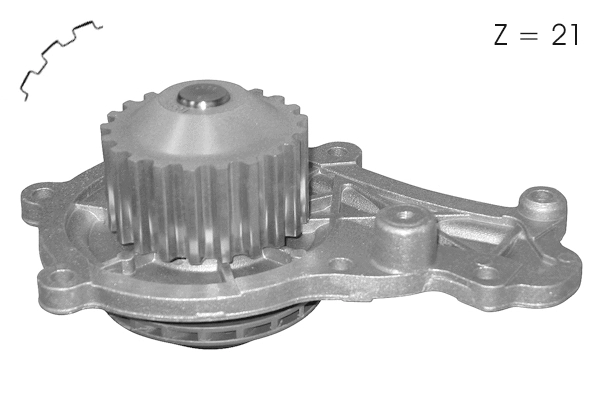 Water Pump, engine cooling (TOP12600007)
