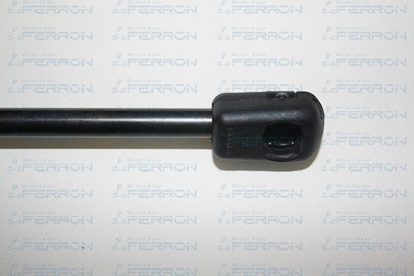 Gas Spring, boot/cargo area