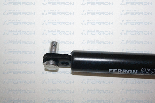 Gas Spring, boot/cargo area