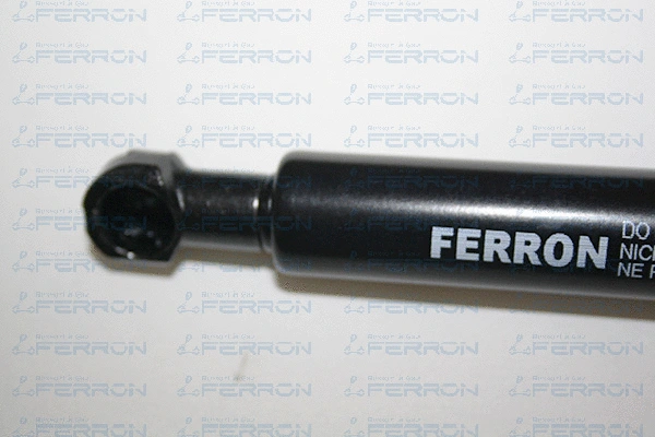 Gas Spring, boot/cargo area