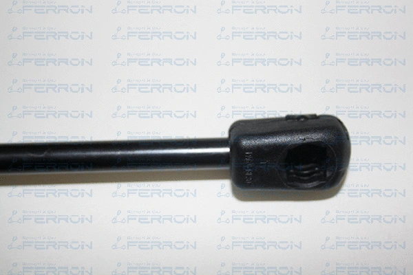 Gas Spring, boot/cargo area