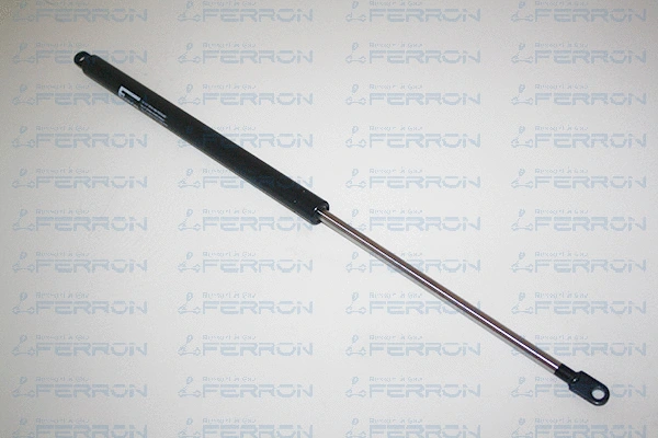 Gas Spring, boot/cargo area (67)