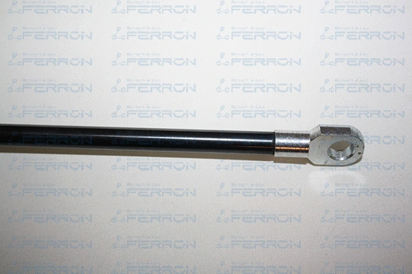 Gas Spring, boot/cargo area