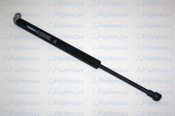 Gas Spring, boot/cargo area (310)
