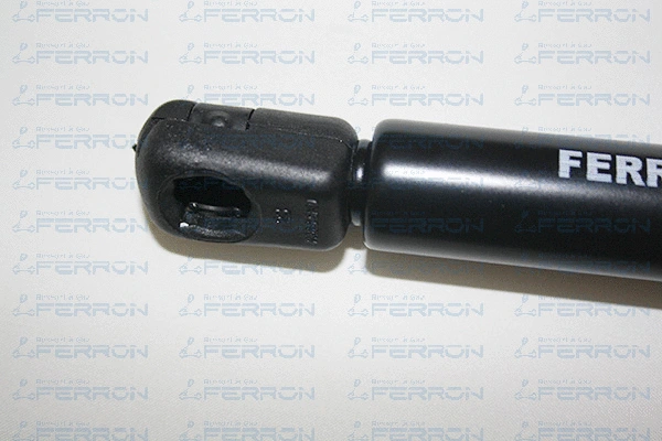 Gas Spring, boot/cargo area