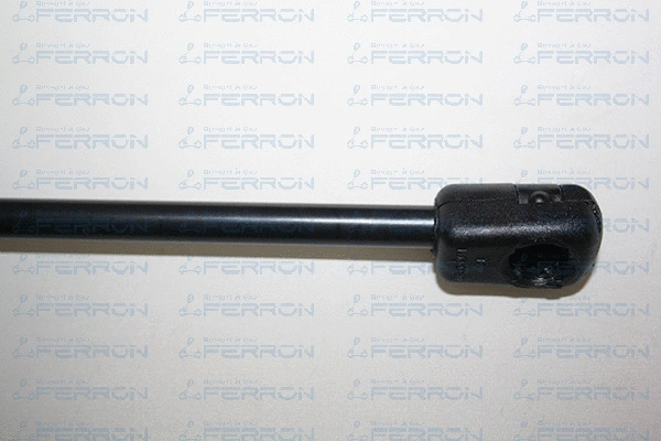 Gas Spring, bonnet