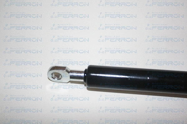 Gas Spring, boot/cargo area