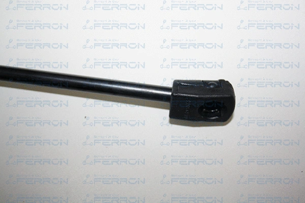 Gas Spring, boot/cargo area