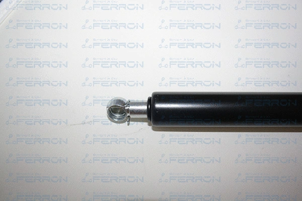 Gas Spring, boot/cargo area